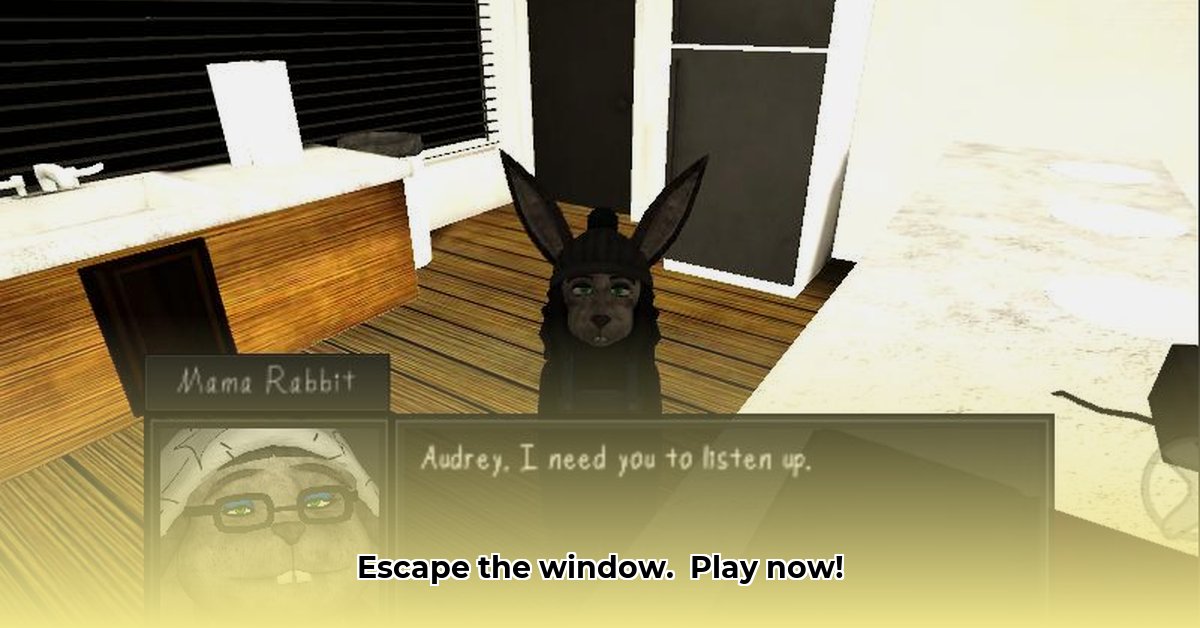 the-man-from-the-window-apk